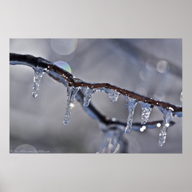 A Bokeh Of Glitering Ice Fringe Poster (Front)