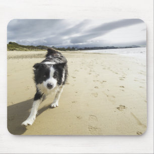 A Border Collie Dog Running On The Beach Mouse Mat