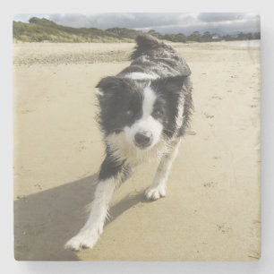 A Border Collie Dog Running On The Beach Stone Coaster