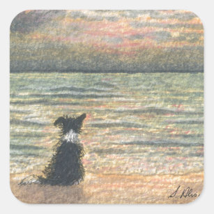 A Border Collie dog says hello to the morning Square Sticker