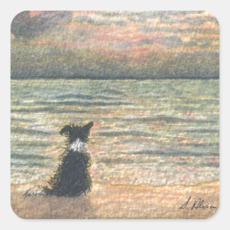 A Border Collie dog says hello to the morning Square Sticker