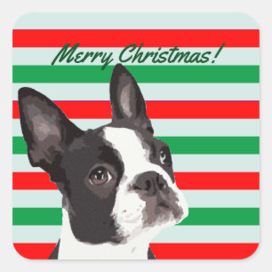 A Boston Terrier Merry Christmas Square Sticker
