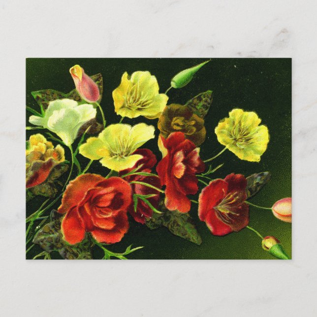 A Bouquet for all Seasons! Postcard (Front)