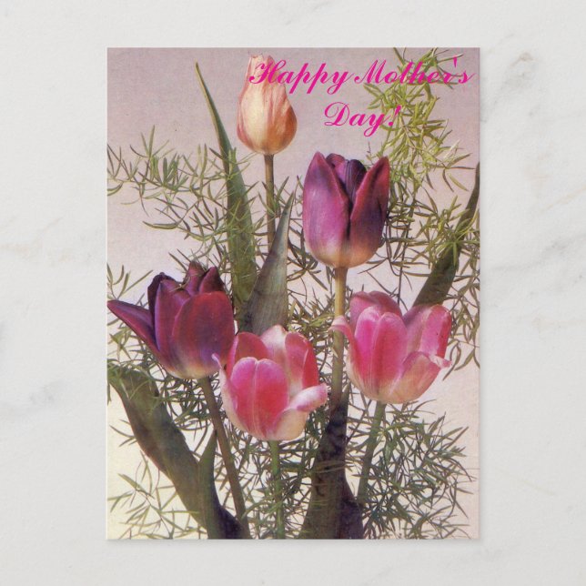 A bouquet of pink tulips in various shades,Happy M Postcard (Front)