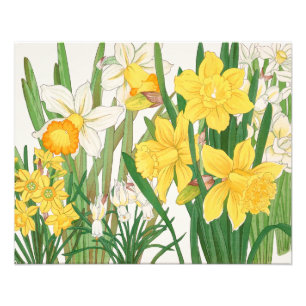 A Bouquet of Yellow and White Daffodils Photo Print