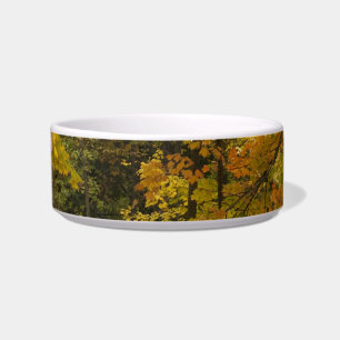 a bowl