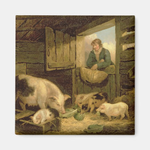 A Boy Looking into a Pig Sty, 1794 (oil on canvas) Magnet