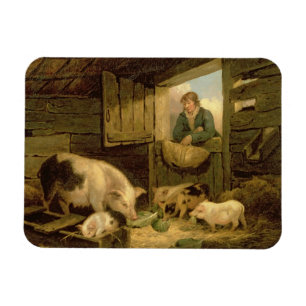 A Boy Looking into a Pig Sty, 1794 (oil on canvas) Magnet