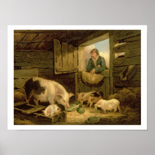 A Boy Looking into a Pig Sty, 1794 (oil on canvas) Poster