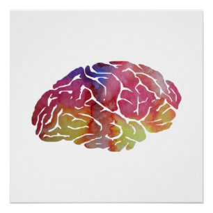 A brain poster