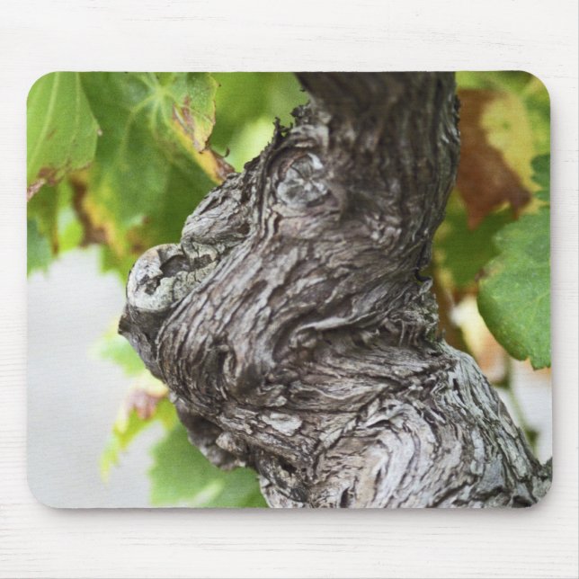 A branch of a very old vine with gnarled mouse mat (Front)