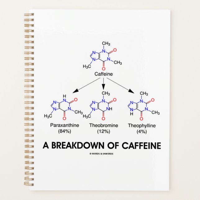 A Breakdown Of Caffeine Caffeine Metabolites Planner (Front)