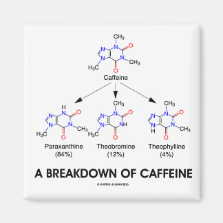A Breakdown Of Caffeine (Chemical Molecules) Magnet