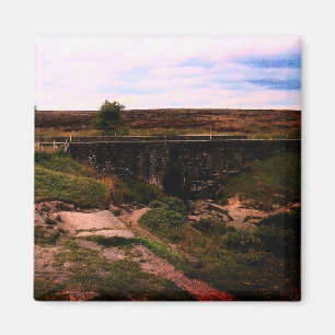 A bridge , in the peaks magnet