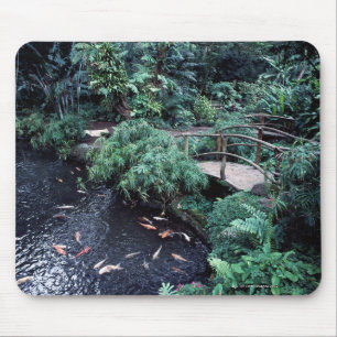 A bridge over a goldfish pond surrounded by mouse mat