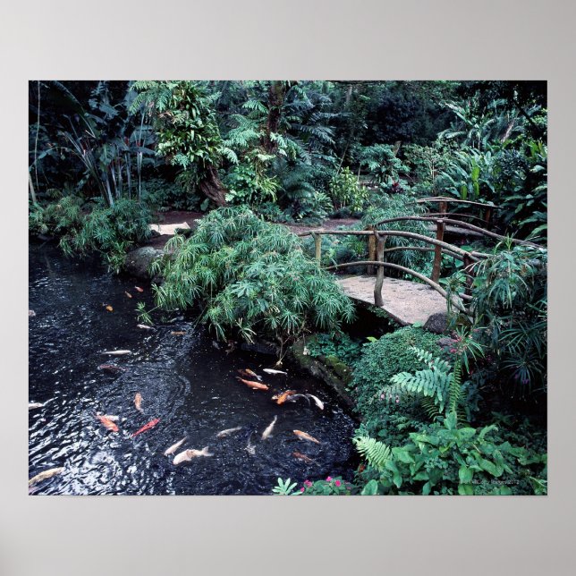A bridge over a goldfish pond surrounded by poster (Front)