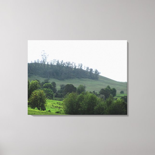 A bright patch Upcountry Canvas Print (Front)