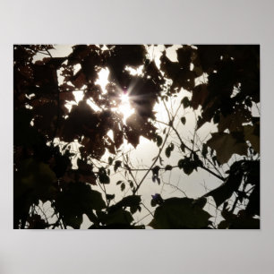 A Bright Spot in a Dark Forest Poster