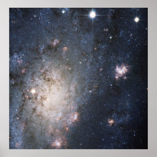 A Bright Supernova in the Nearby Galaxy NGC 2403 Poster