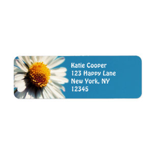 A Bright White Daisy under a Big Blue Sky