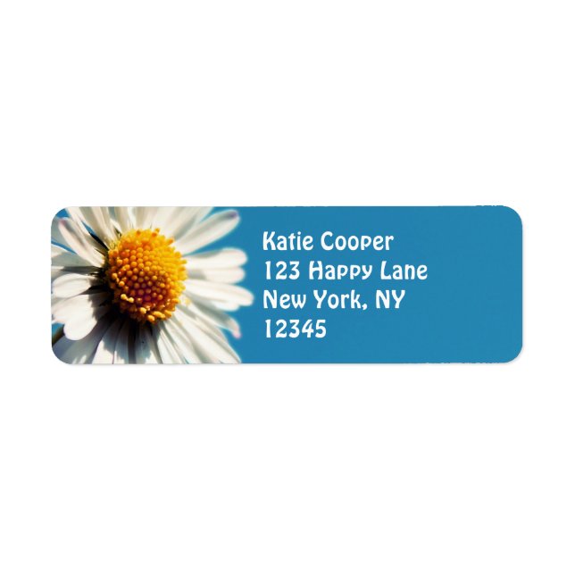 A Bright White Daisy under a Big Blue Sky (Front)