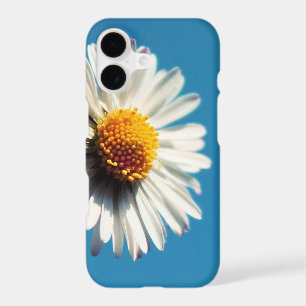 A Bright White Daisy under a Big Blue Sky