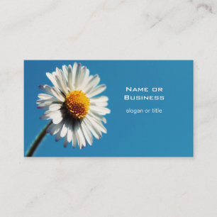 A Bright White Daisy under a Big Blue Sky Business Card