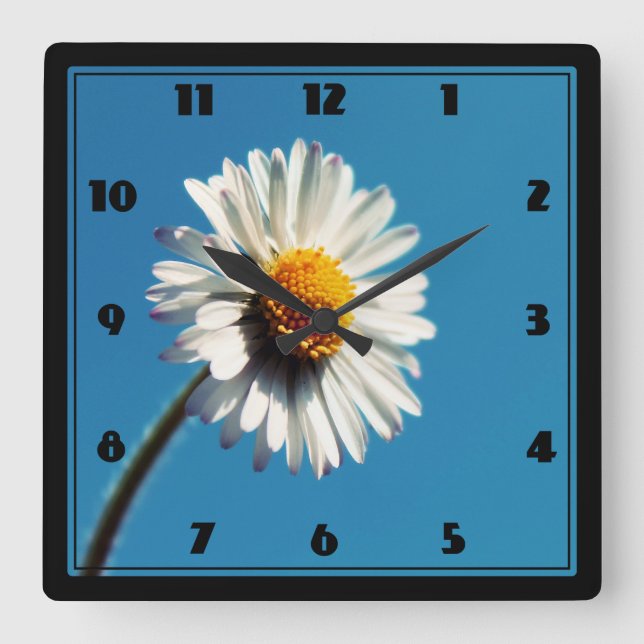 A Bright White Daisy under a Big Blue Sky Square Wall Clock (Front)