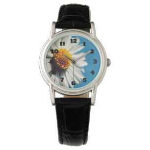 A Bright White Daisy under a Big Blue Sky Watch