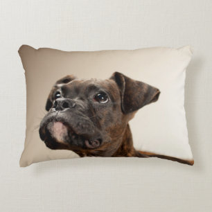 A Brindle Boxer puppy looking up curiously. Decorative Cushion