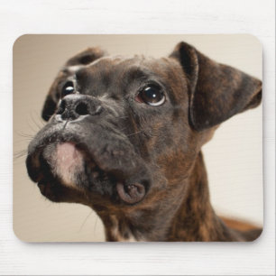 A Brindle Boxer puppy looking up curiously. Mouse Mat