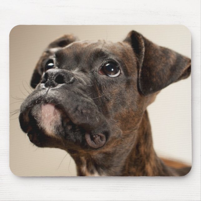 A Brindle Boxer puppy looking up curiously. Mouse Mat (Front)
