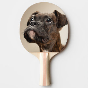 A Brindle Boxer puppy looking up curiously. Ping Pong Paddle