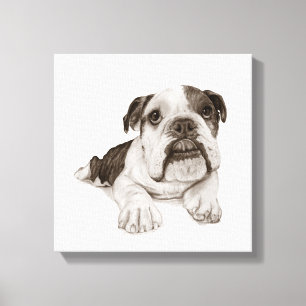 A Brindle Bulldog Puppy Drawing Canvas Print