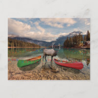 A British Columbia Christmas