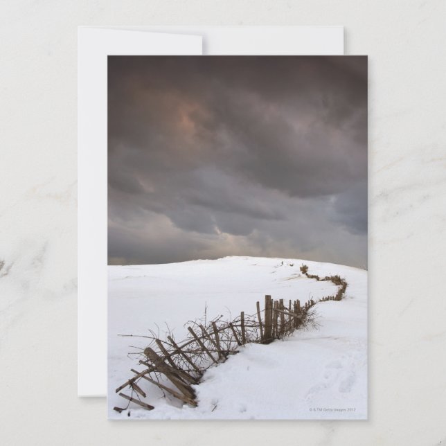 A Broken Fence (Front)