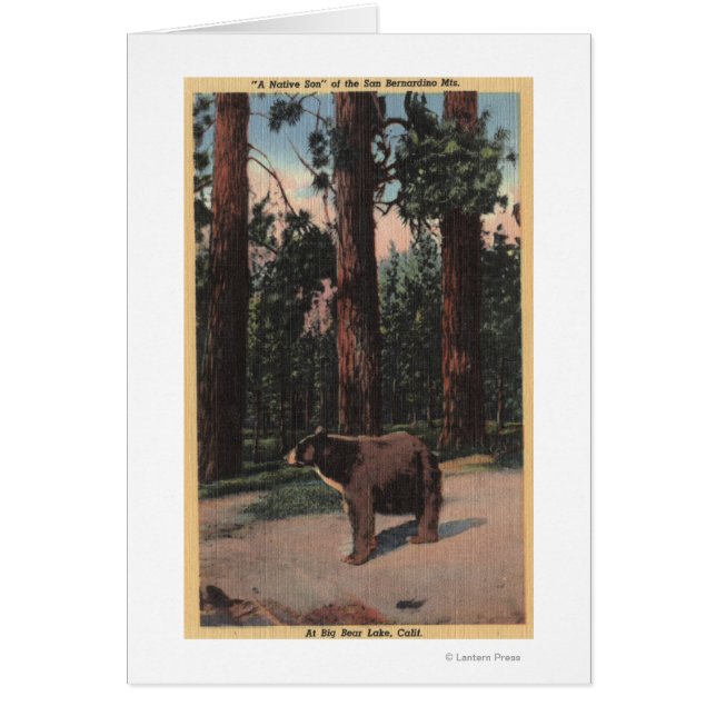 A Brown Bear in the Woods (Front)