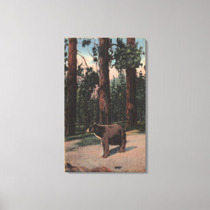 A Brown Bear in the Woods Canvas Print