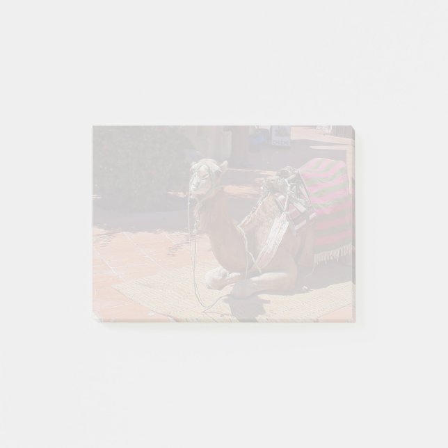 A Brown Camel laying down with Saddle and Blanket Post-it Notes (Front)