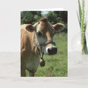 A Brown Jersey Cow In Summer Meadow Greeting Card