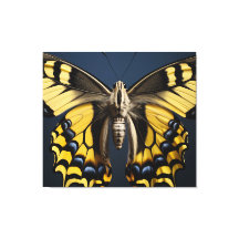 A Brushstroke of Nature Swallowtail Butterfly