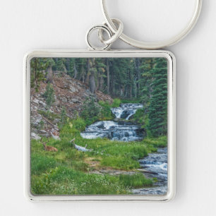 A Buck Rests at a Cascading River Key Ring