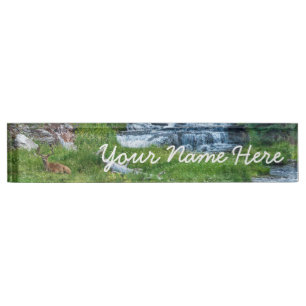 A Buck Rests at a Cascading River Nameplate