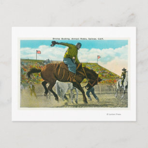 A Bucking Bronco at the Annual Salinas Rodeo Postcard