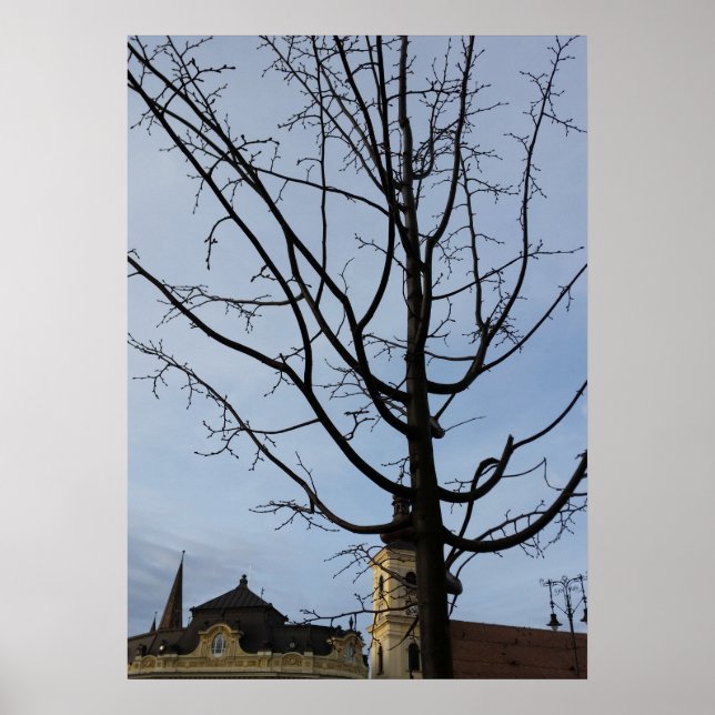 a budding tree poster (Front)