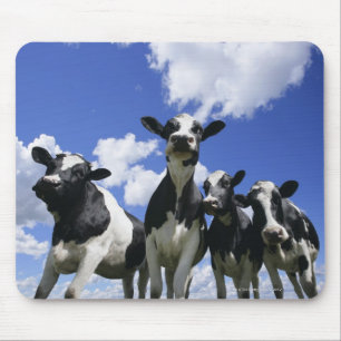 A bugs eye view of four young calves mouse mat