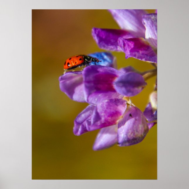 A bugs life. poster (Front)