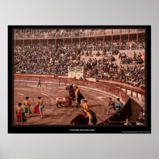 A bull fight, Barcelona, Spain Poster