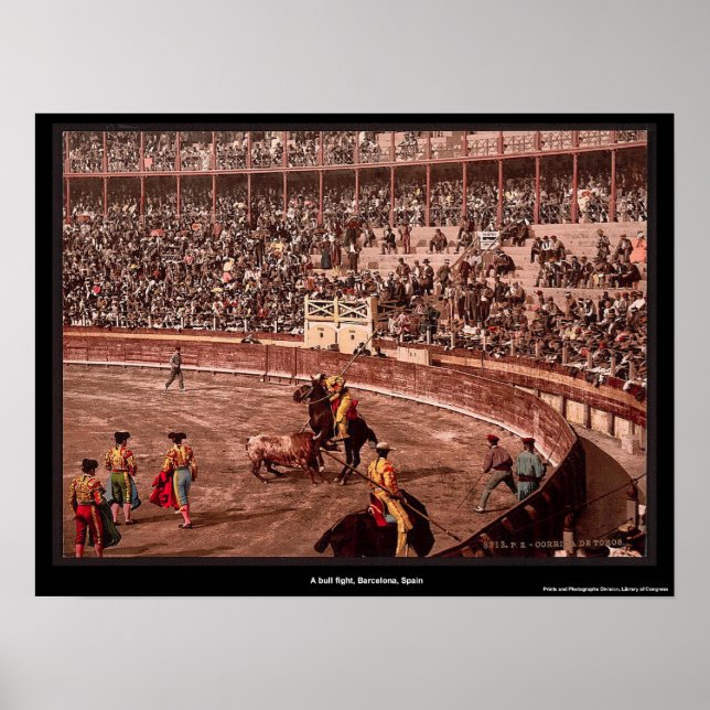 A bull fight, Barcelona, Spain Poster (Front)