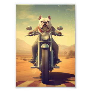 A Bulldog Riding a Motorcycle on a Desert Road Photo Print